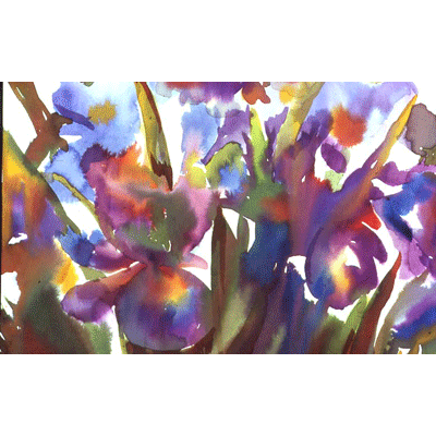iris